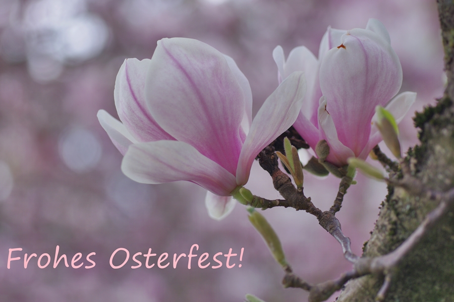 Liebe Naturfreunde/liebes Forum