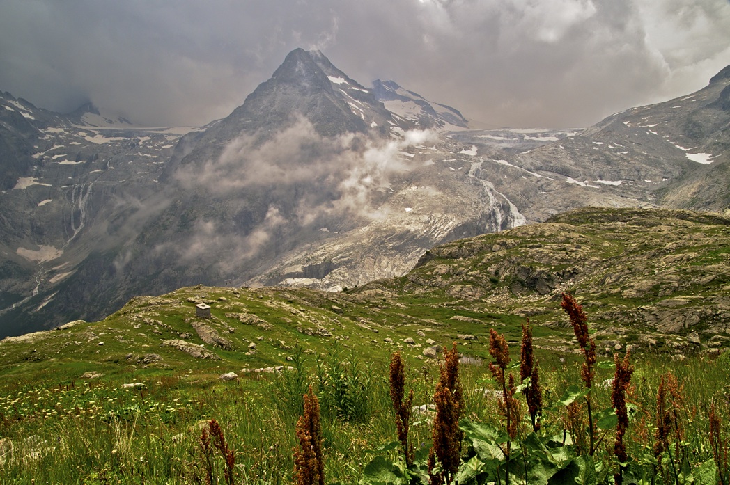  - image::Helmut_Benz_sommer_lobbia_alta_alpen_adamello