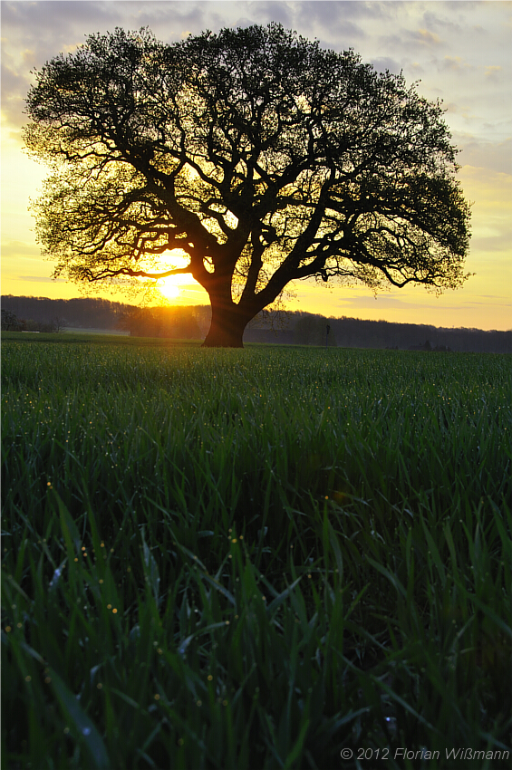 Sun is up!