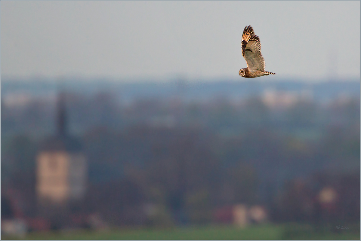 „Kirch-Flug …“