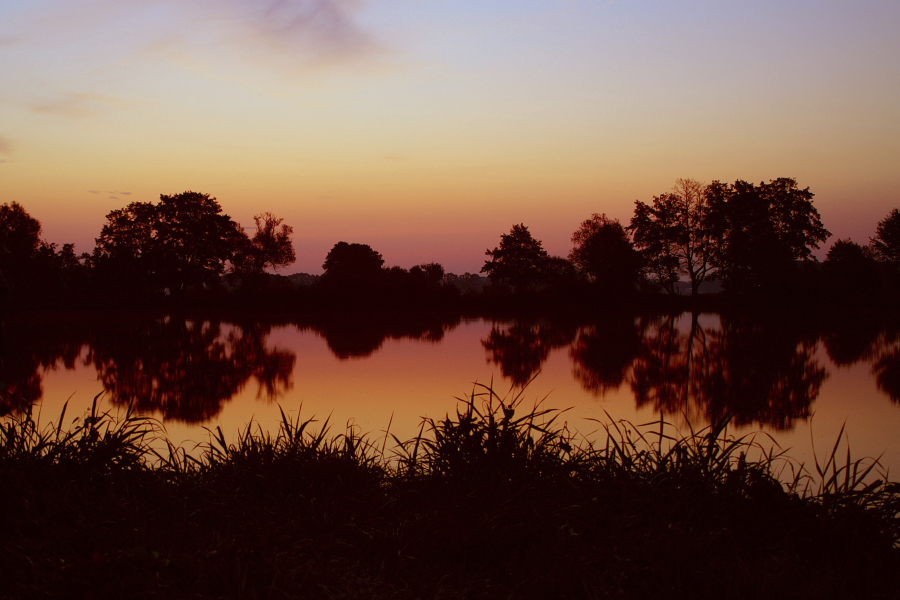 Morgens am See