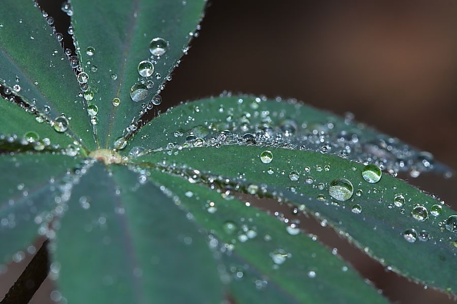 Nach dem Regen