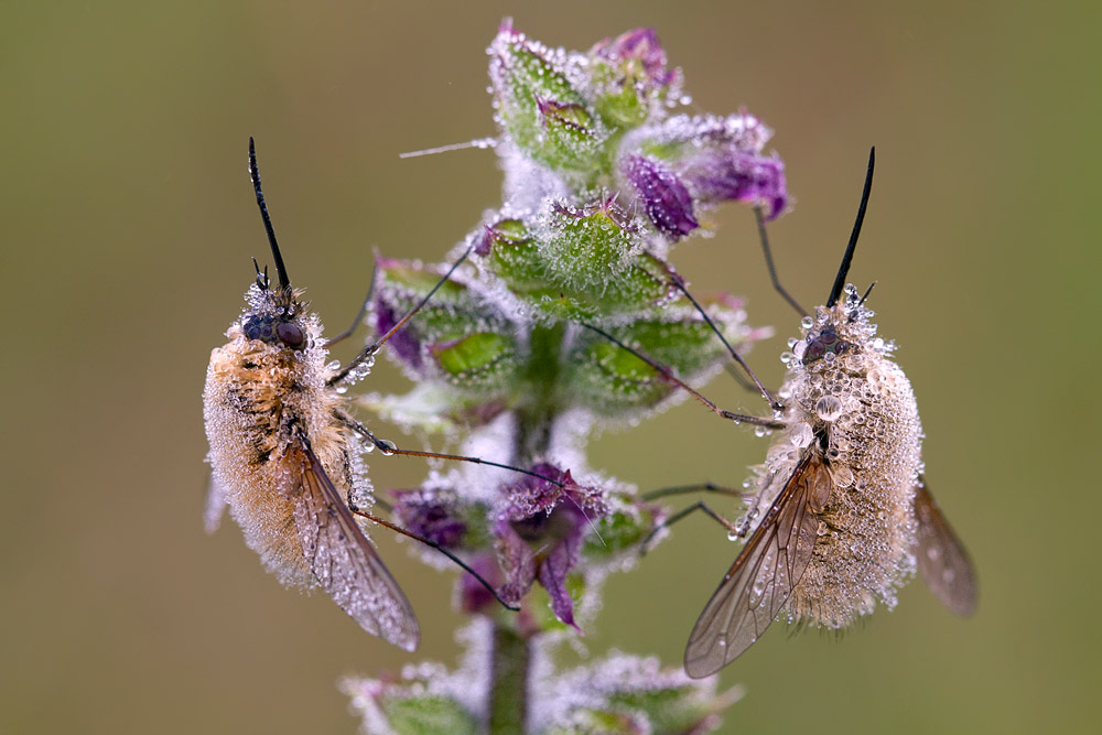 Waschmaschine