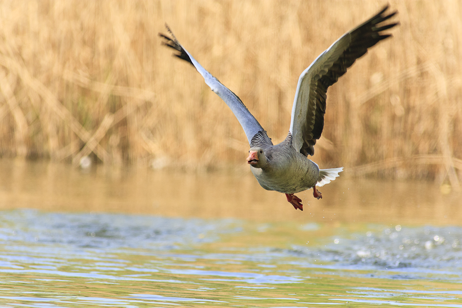Abflug
