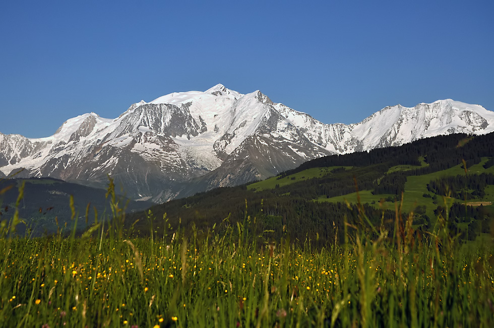 König der Berge