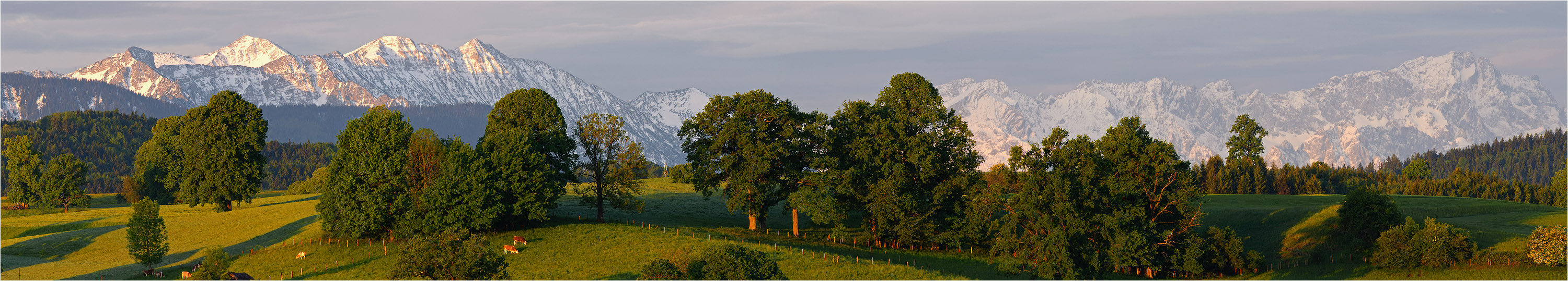 früher Alpenblick