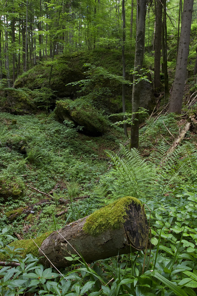 Teufelsküche
