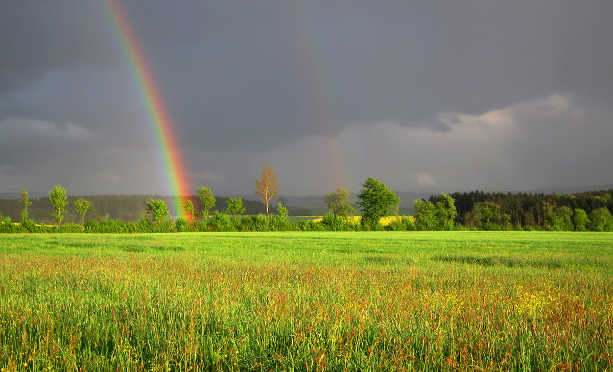 Ein Regenbogen