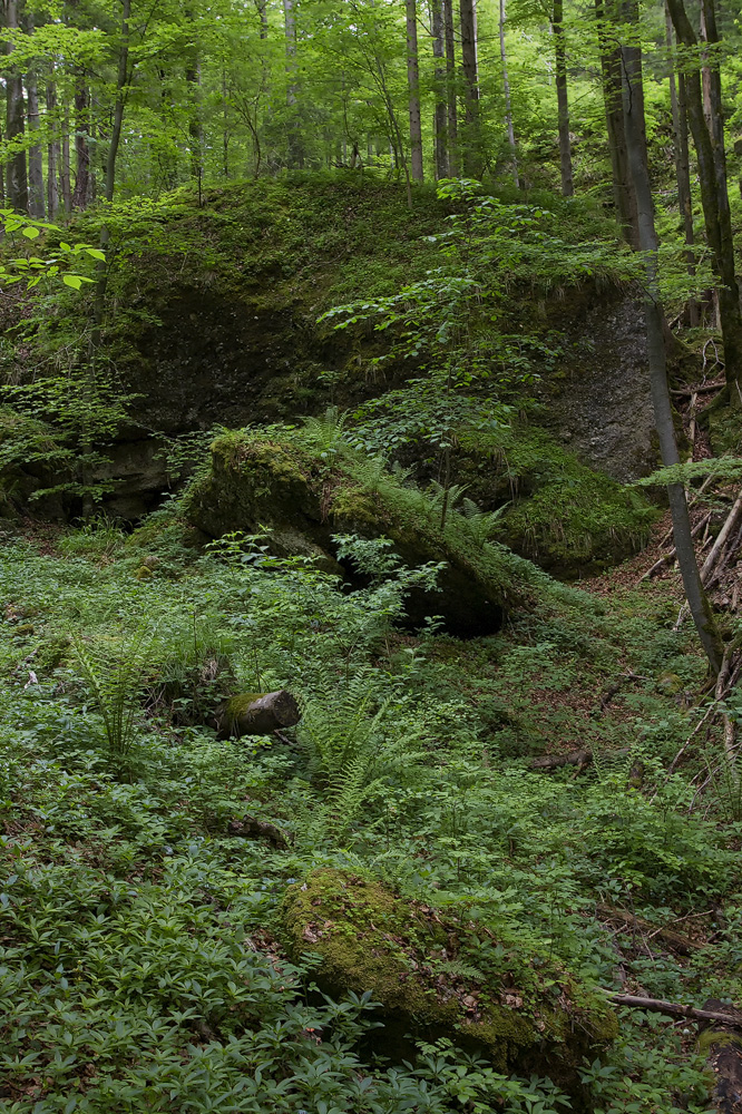 Grüne Felsen der Teufelsküche