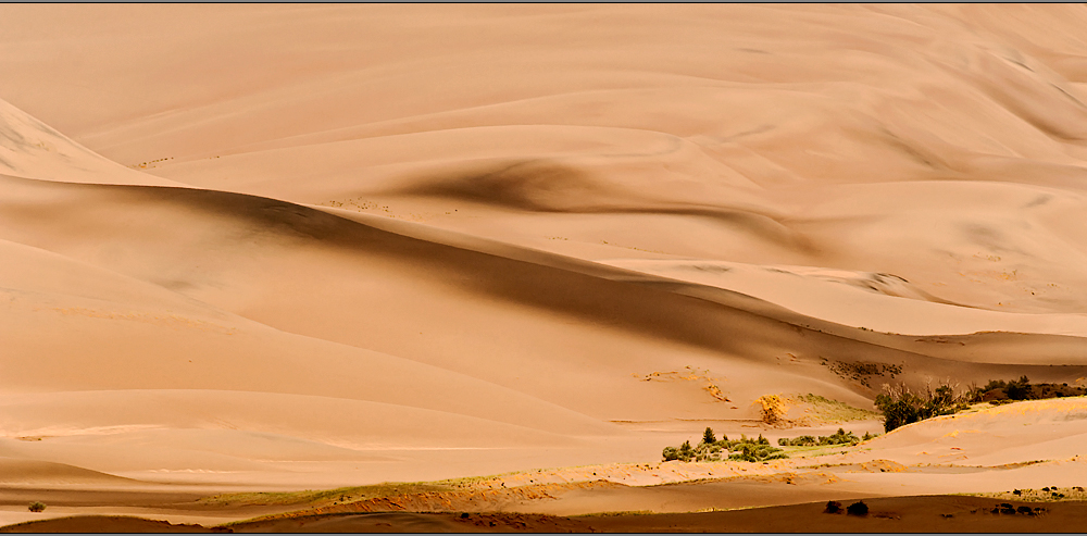 wie in der sahara