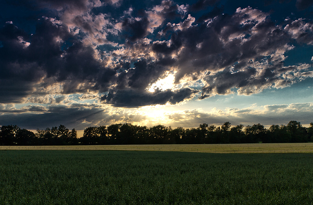 Sommerabend