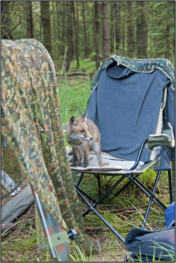 "Naturfotografennachwuchs"