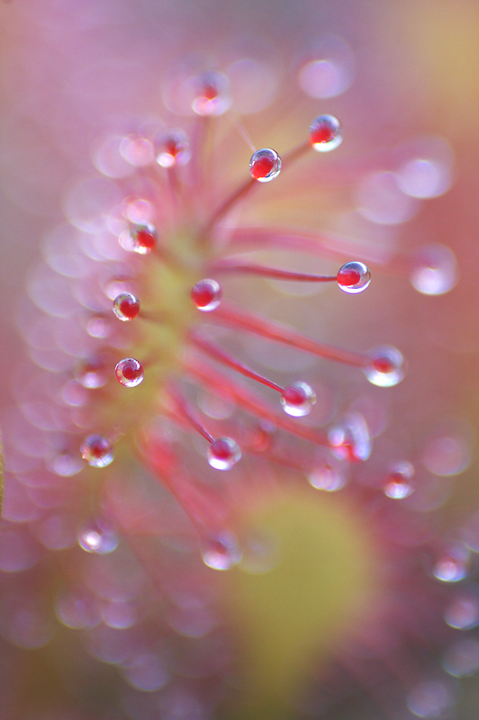 Rund und bunt