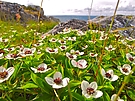 Gruss aus Norwegen