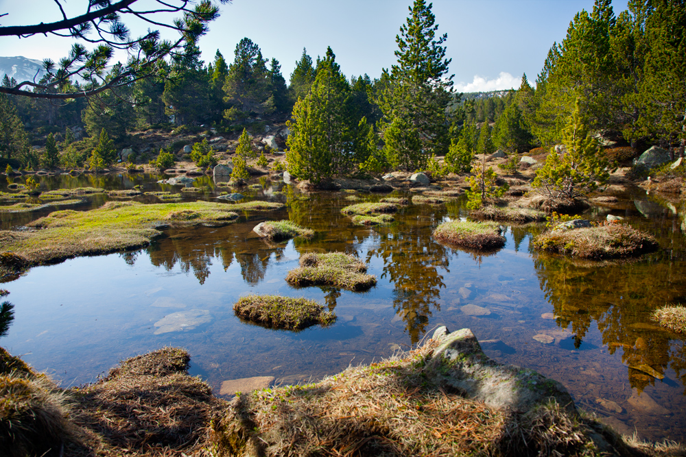 Wanderung in den Pyrenäen ( Völlig ungeschärft)