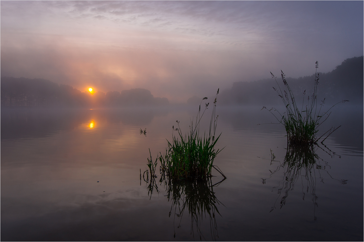Morning fog