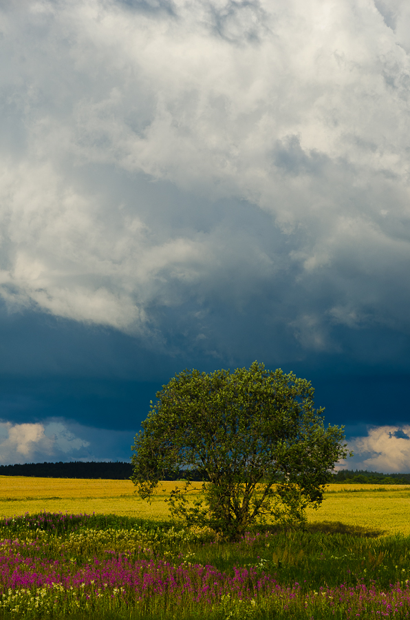 Wolkenkino