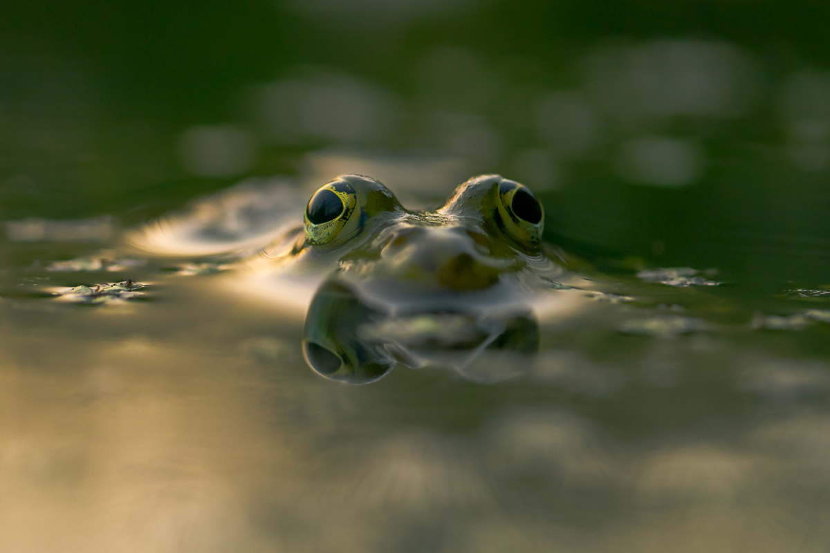 Unter 4 Augen