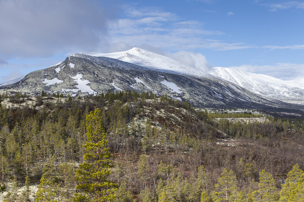 Rondane Nationalpark