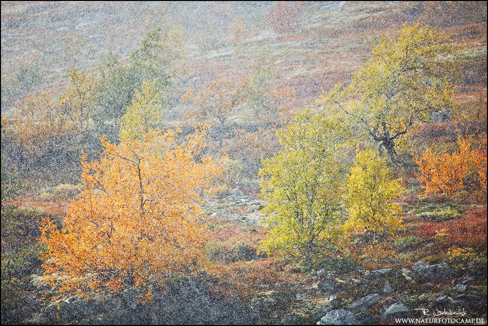 Herbststurm Herbststurm