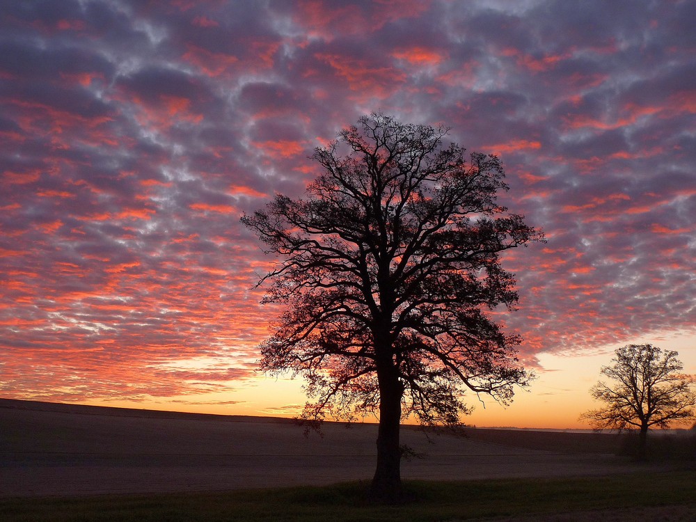 Morgenlicht