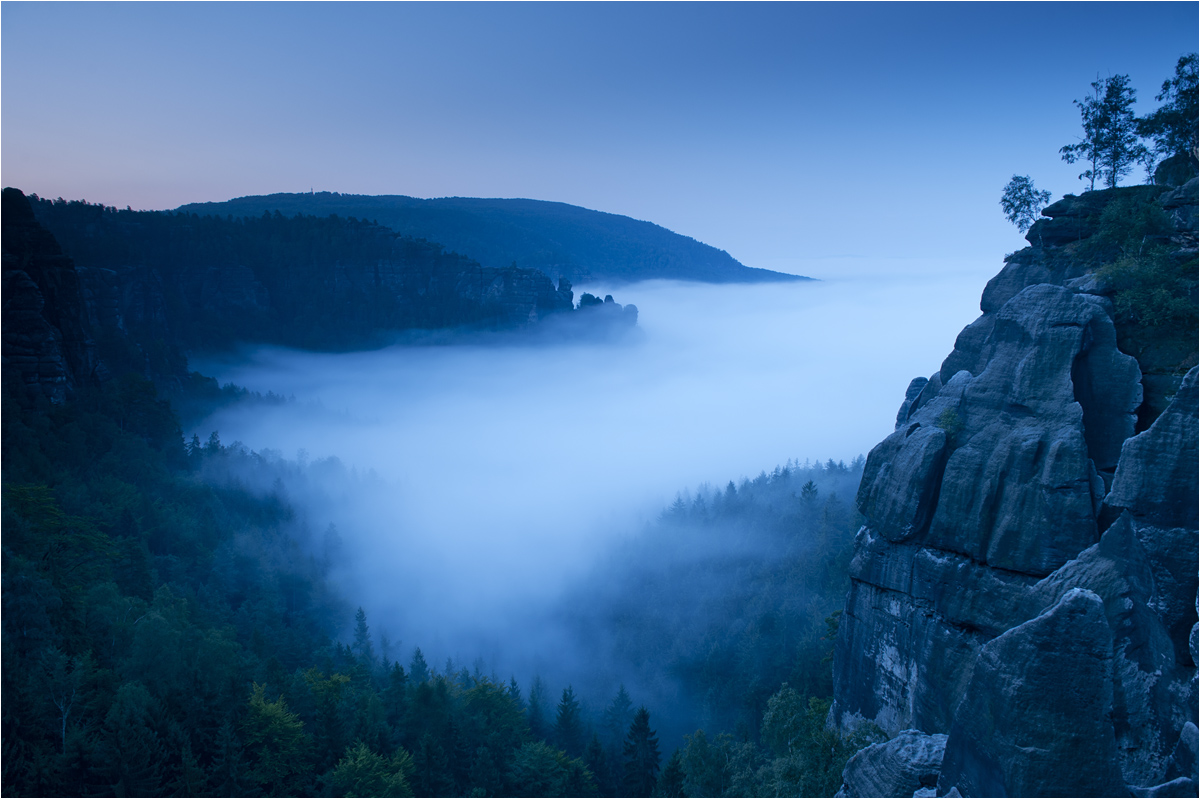 Heringsgrund in blau