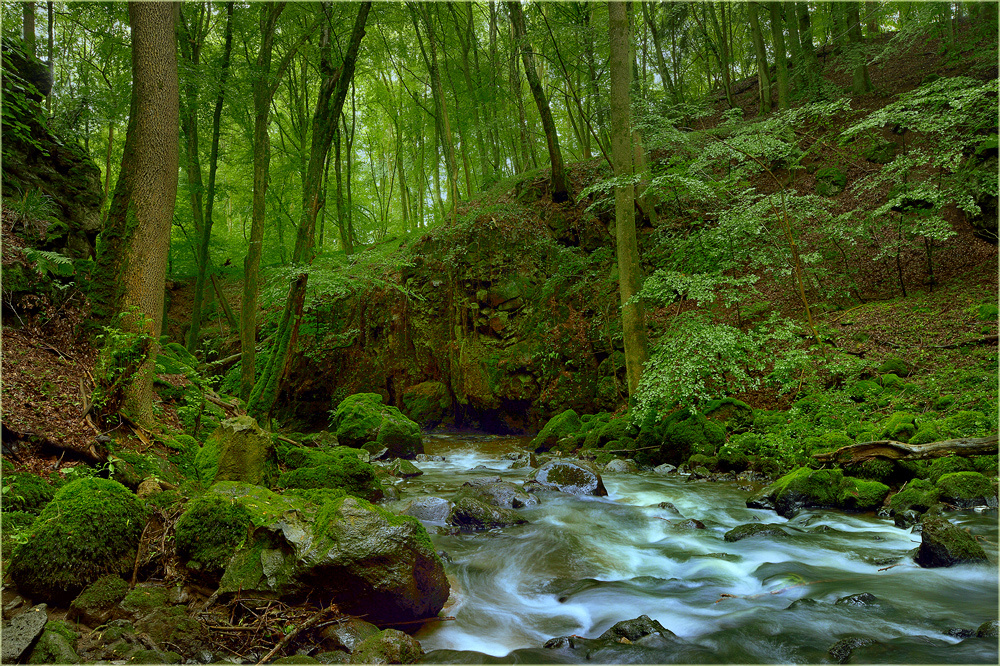 Bei Regen am Bach