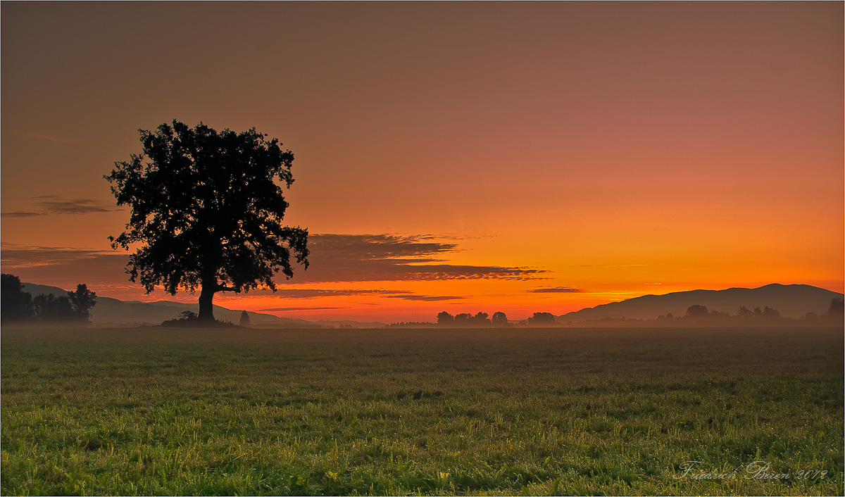 Morgenstimmung (Forum für Naturfotografen)