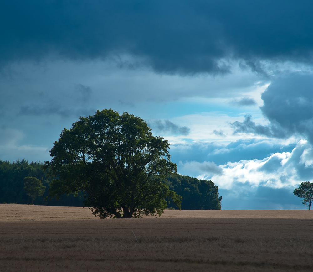 Nach dem Gewitter