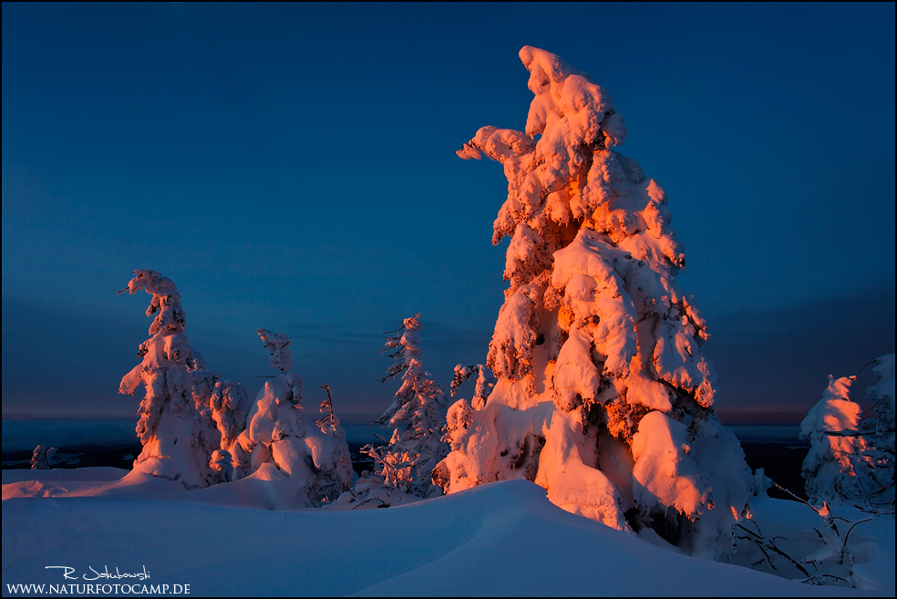 Eisiges Morgenrot