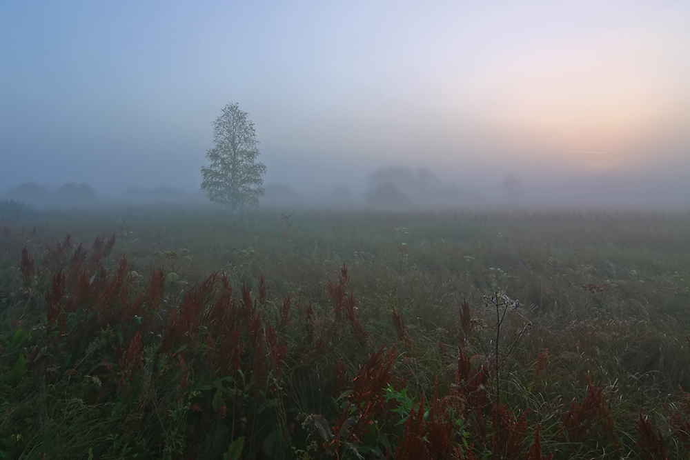 Moor am Morgen