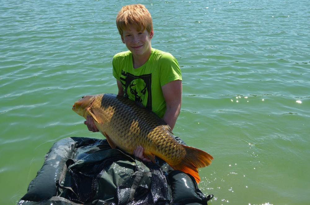 Mein 19,3 kg Schuppenkarpfen