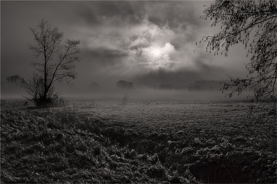 Morgennebel
