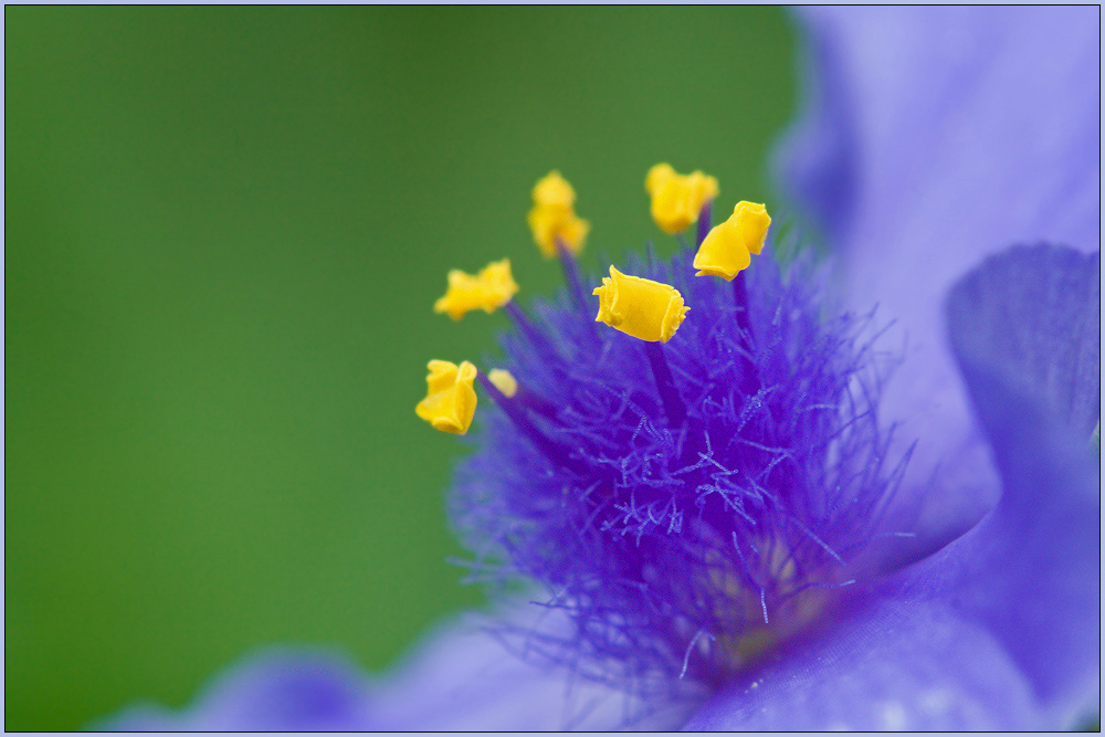 ***Das Innere...***