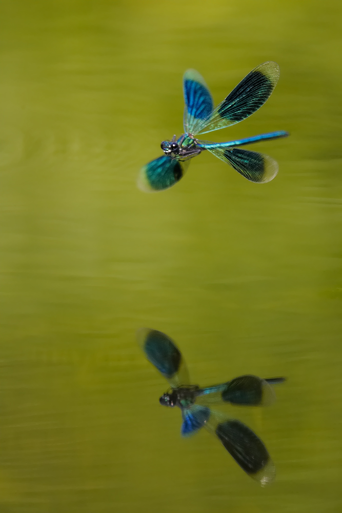 Tanz über dem Wasser