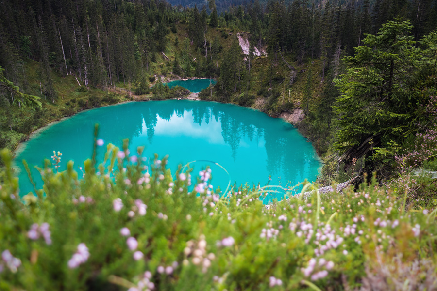 Perlen der Natur