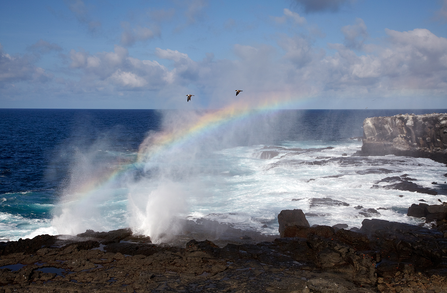 Blow Hole
