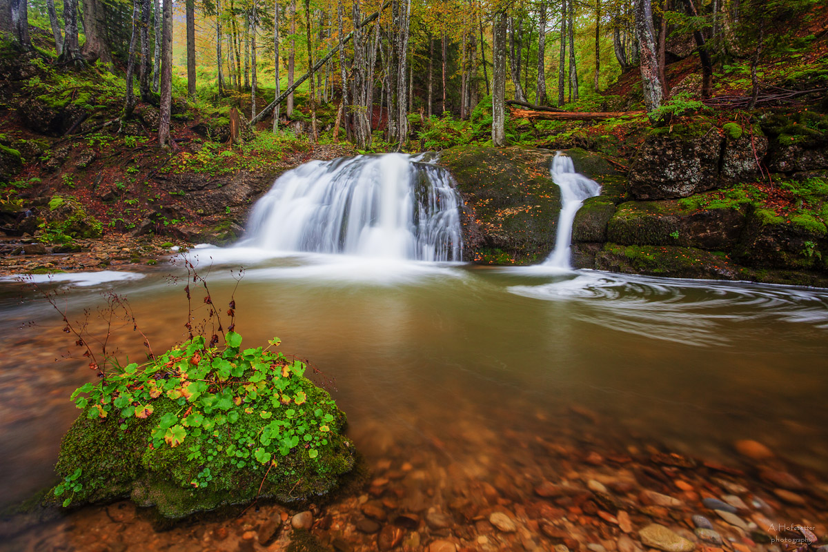 Wasserfall am Wengibach