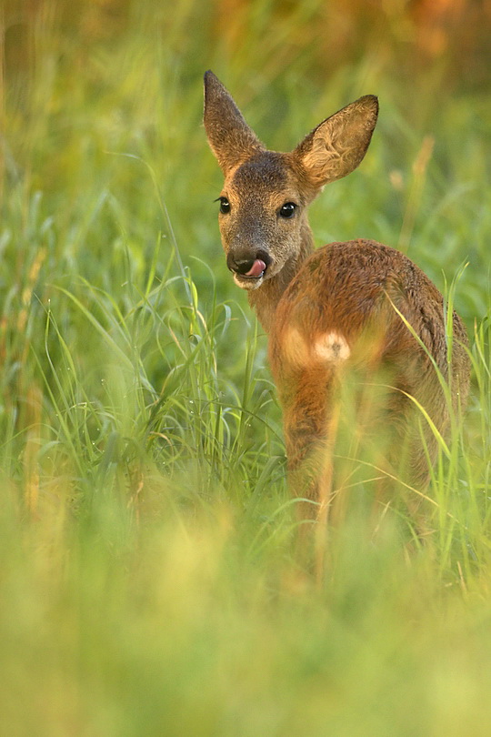 "...lecker..."