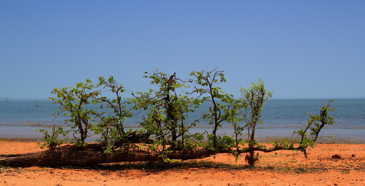 Urkraft der Natur - Lake Kariba