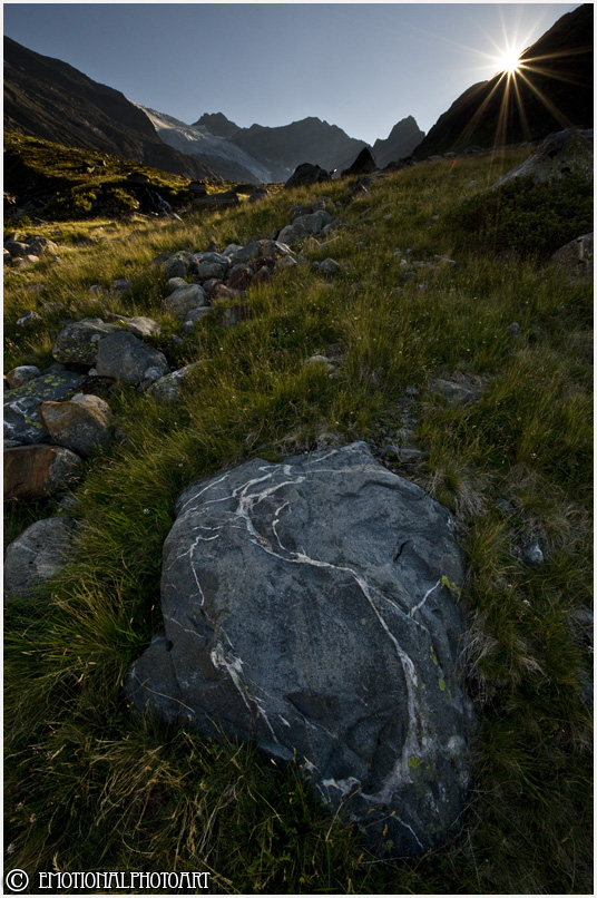 Quarzadern und Graslandschaft