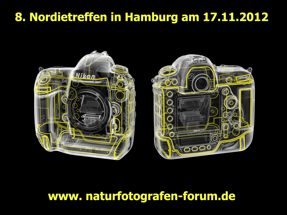 8. Nordietreffen in Hamburg am 17.11.2012