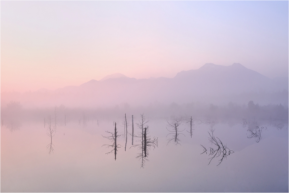 Dichter Nebel