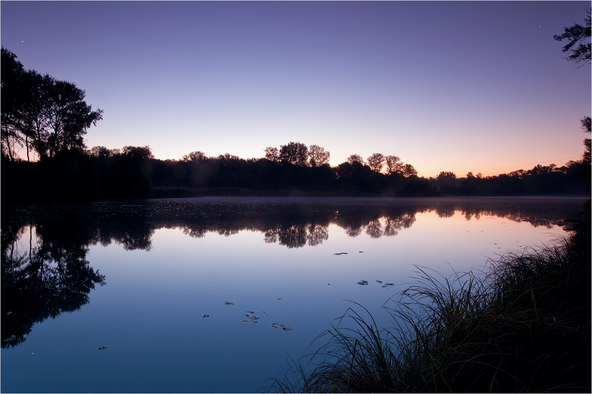 Amazonas Wiens