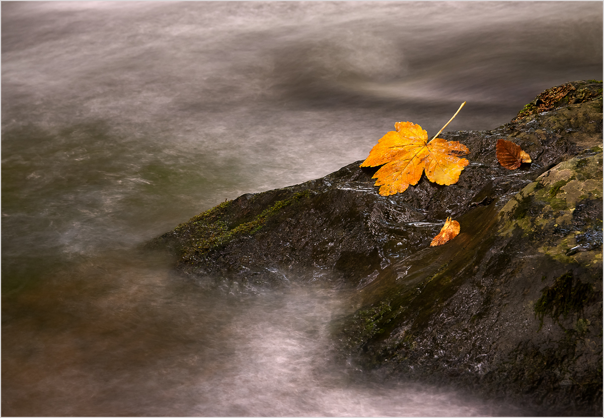 ein Herbsttag...