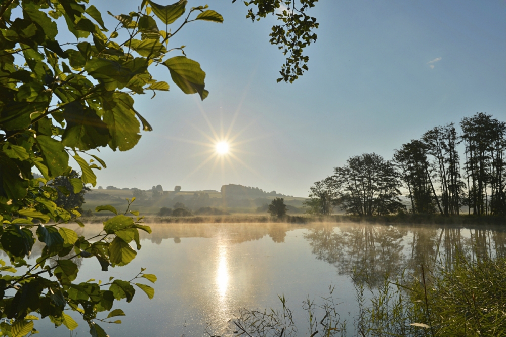 Morgenstimmung