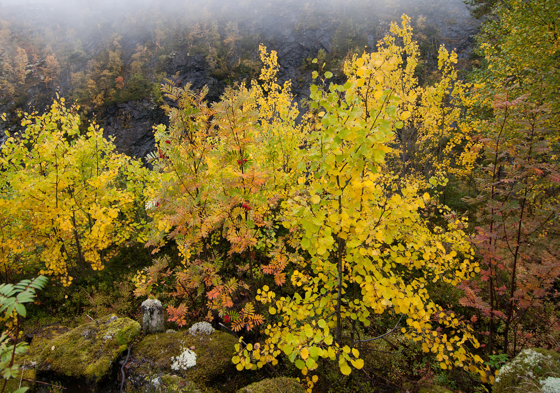 Herbstfarben