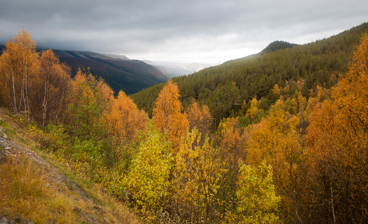 Herbstliches Norwegen