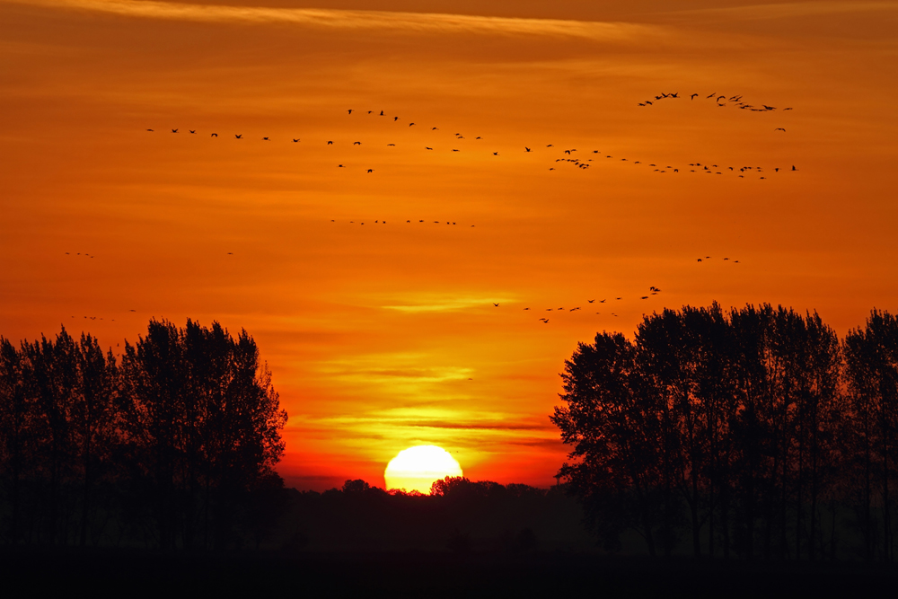 Gestern..... (Forum Für Naturfotografen)