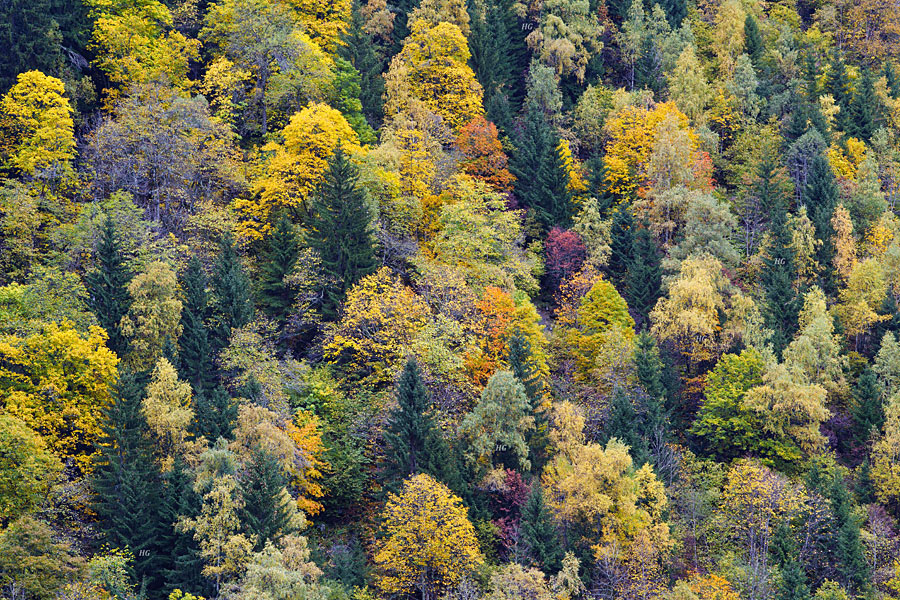 Indiansummer im NP Hohe Tauern